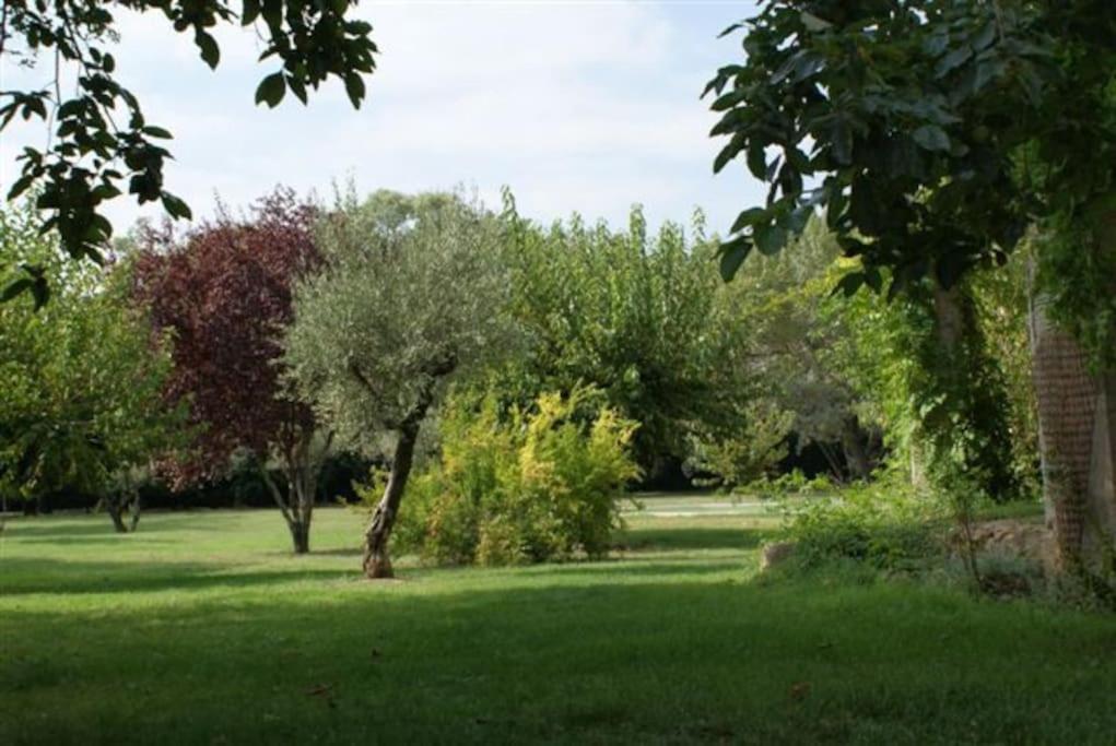 Gite De Charme 80 M², Piscine, Proche D'Uzes. Vezenobres Exteriér fotografie