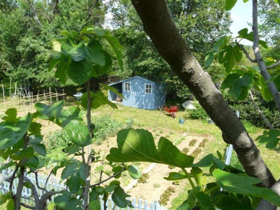 Gite De Charme 80 M², Piscine, Proche D'Uzes. Vezenobres Exteriér fotografie