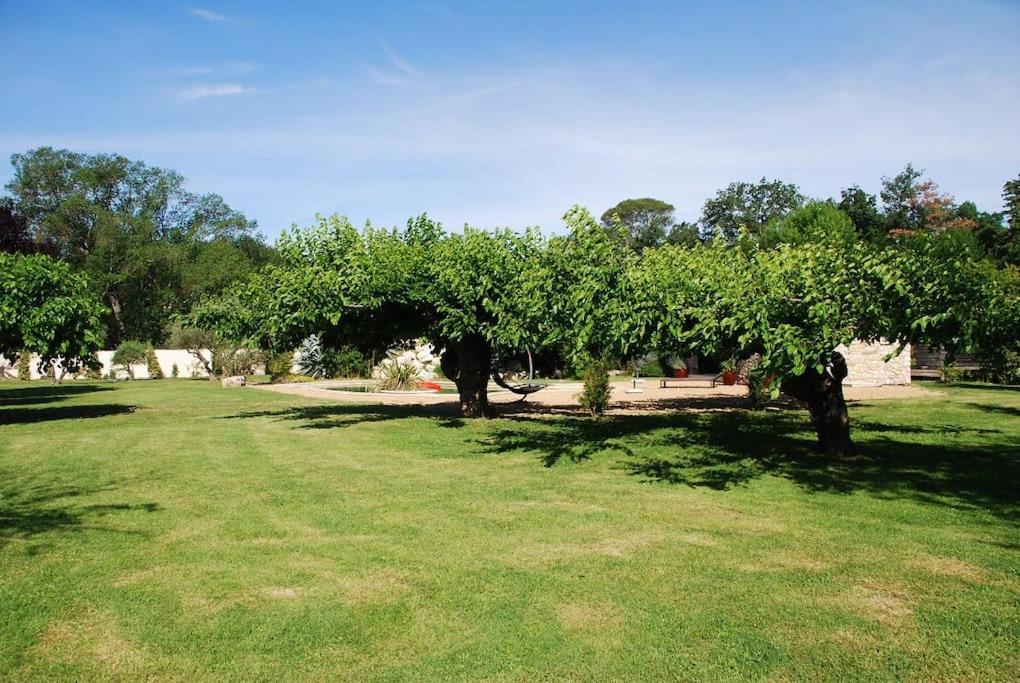 Gite De Charme 80 M², Piscine, Proche D'Uzes. Vezenobres Exteriér fotografie